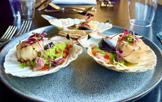 Scallops